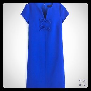 Adorable J Crew Presentation Dress